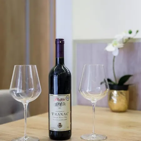 Belly 1 Apartament Belgrad